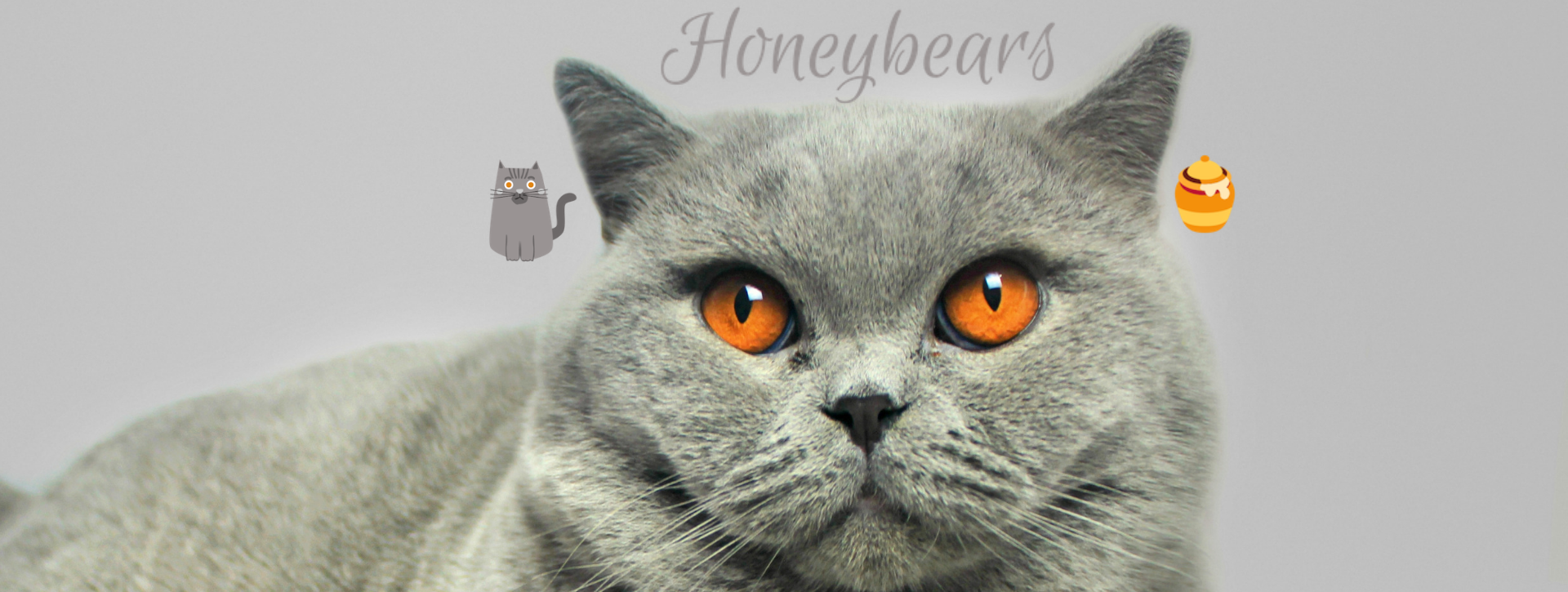 Home Honeybears